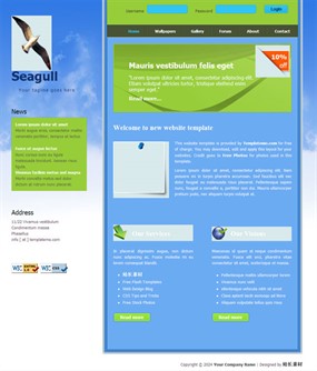 海洋海鸥CSS网页模板